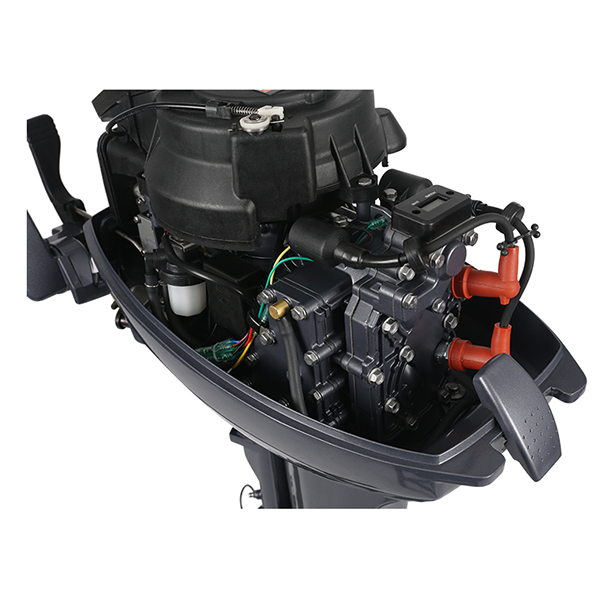 ЛОДОЧНЫЙ МОТОР ALLFA CG Т9,9 Limit в Кемерово