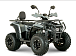 Квадроцикл YACOTA DRAGON LUX LD 150 PRO-SPORT в Кемерово