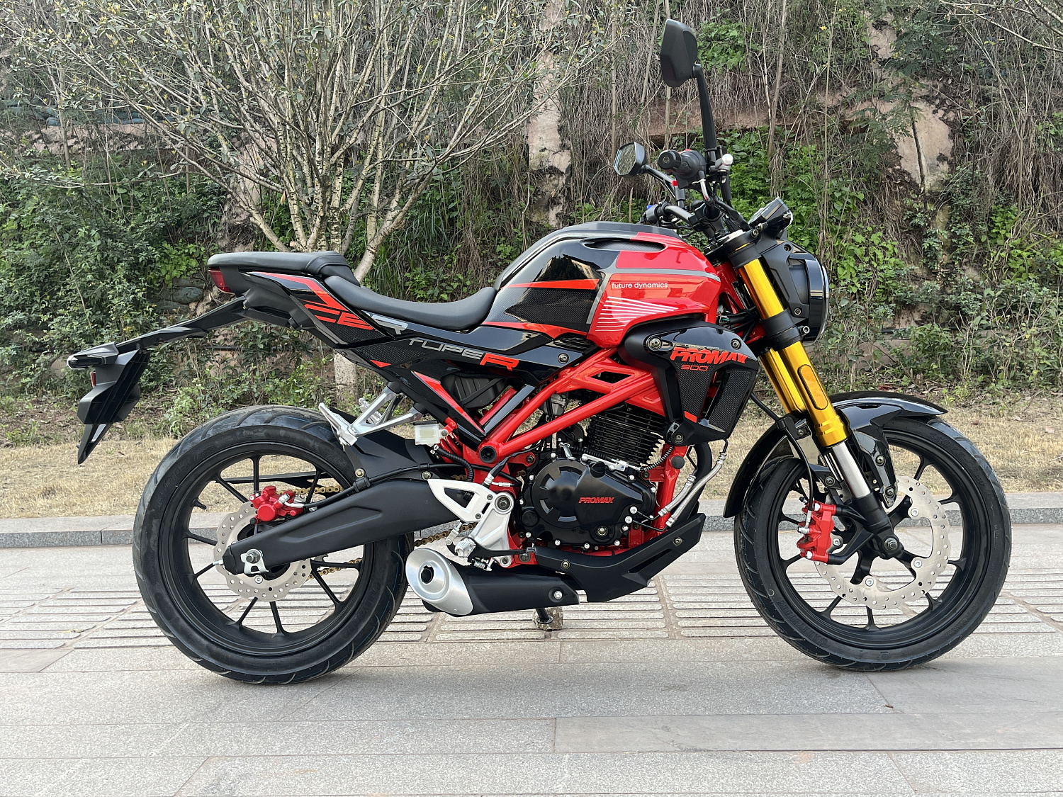 Мотоцикл PROMAX CB300 в Кемерово