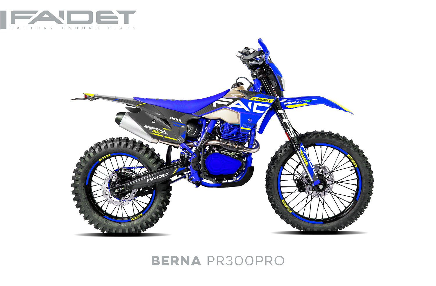 Кроссовый мотоцикл FAIDET BERNA PR300-PRO FPS в Кемерово