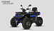 Квадроцикл PROMAX TAURUS 300 MAX-PRO LONG в Кемерово