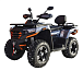 Квадроцикл MOTOLAND (МОТОЛЕНД) 300 MAX X в Кемерово