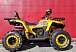 Квадроцикл PROMAX STORM 280 LUX в Кемерово