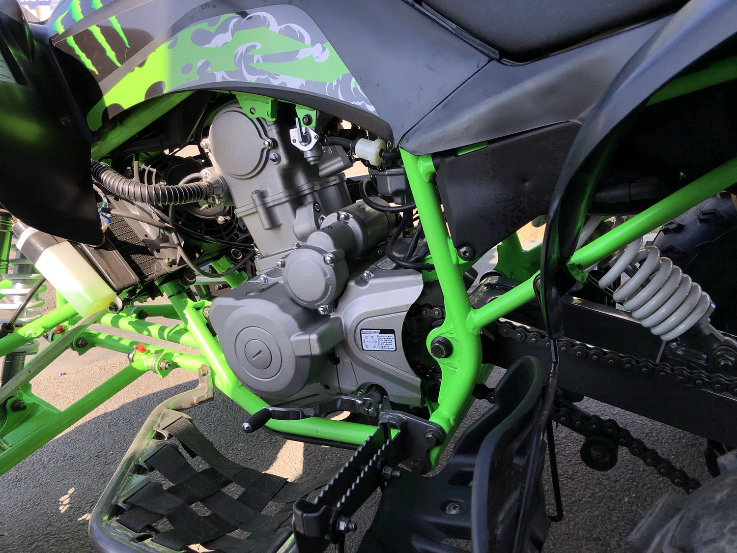 Квадроцикл PROMAX RAPTOR 300 NEW Monster в Кемерово