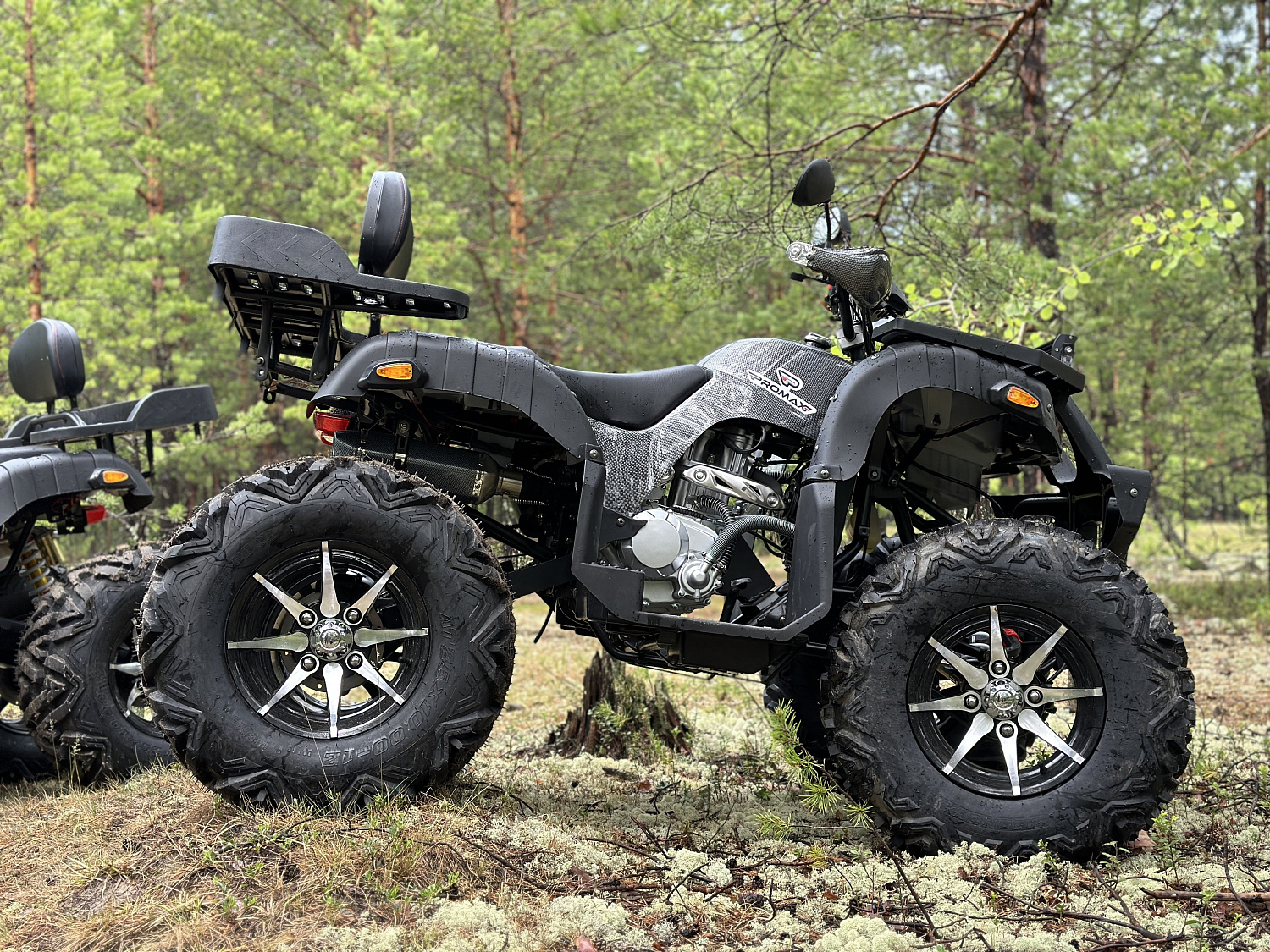 Квадроцикл PROMAX 320 DOMINATOR (2025) в Кемерово