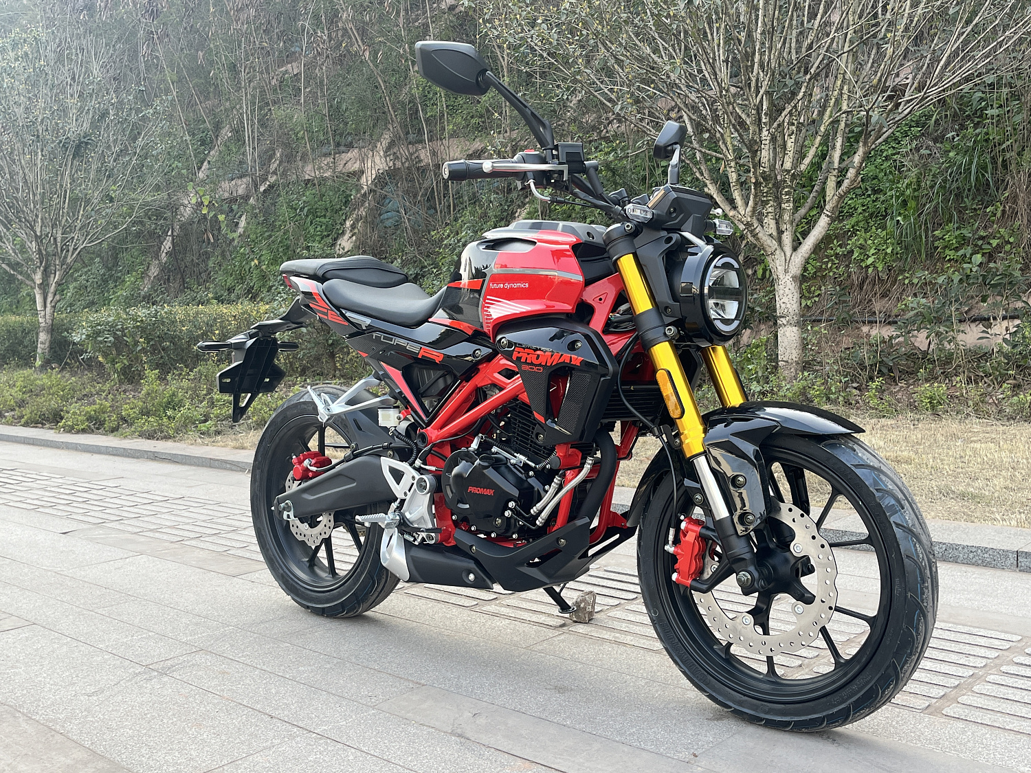 Мотоцикл PROMAX CB300 в Кемерово