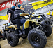 Квадроцикл PROMAX ATV 250 (2025) в Кемерово
