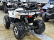 Квадроцикл PROMAX WILD 2.0 190 LUX в Кемерово
