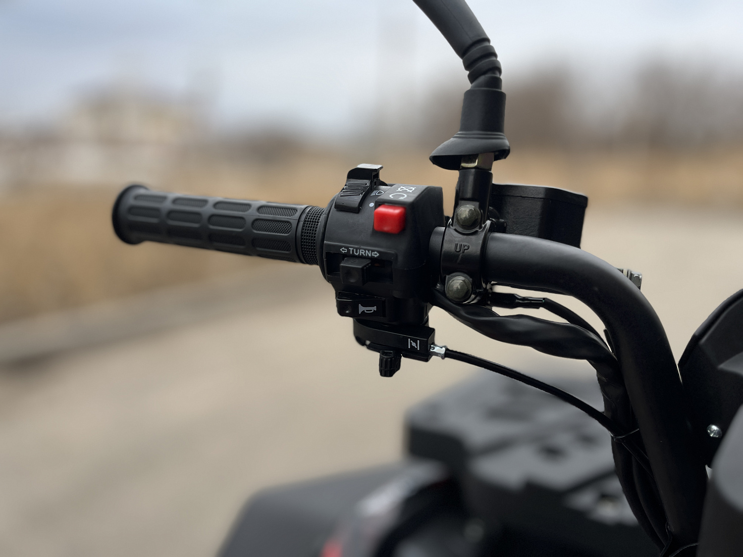 Квадроцикл PROMAX TAURUS 300 MAX-PRO LONG в Кемерово