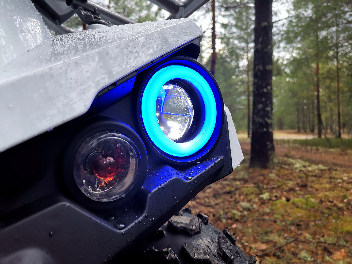 Квадроцикл PROMAX RENEGADE 280 (2025) в Кемерово