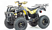 Квадроцикл MOTOLAND (МОТОЛЕНД) 250 ADVENTURE в Кемерово