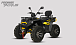 Квадроцикл PROMAX TAURUS 300 MAX-PRO LONG в Кемерово